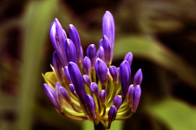 罗马推出黑胶唱片版队歌：限量版售价49.9欧，普通版19.9欧