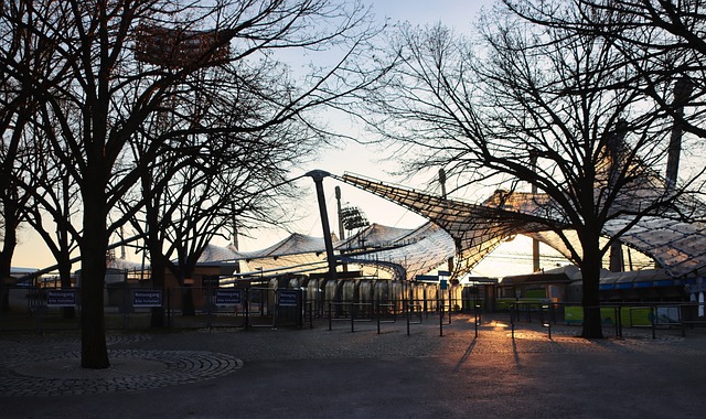 也吸引了极 也吸引了极