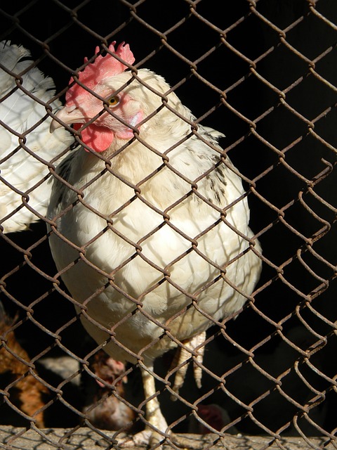 热力四射！我国南方冰雪消费呈现新亮点.