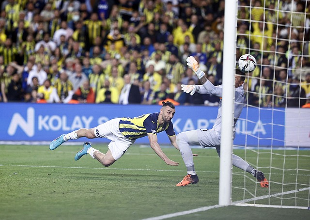 贝尔纳多 贝尔纳多