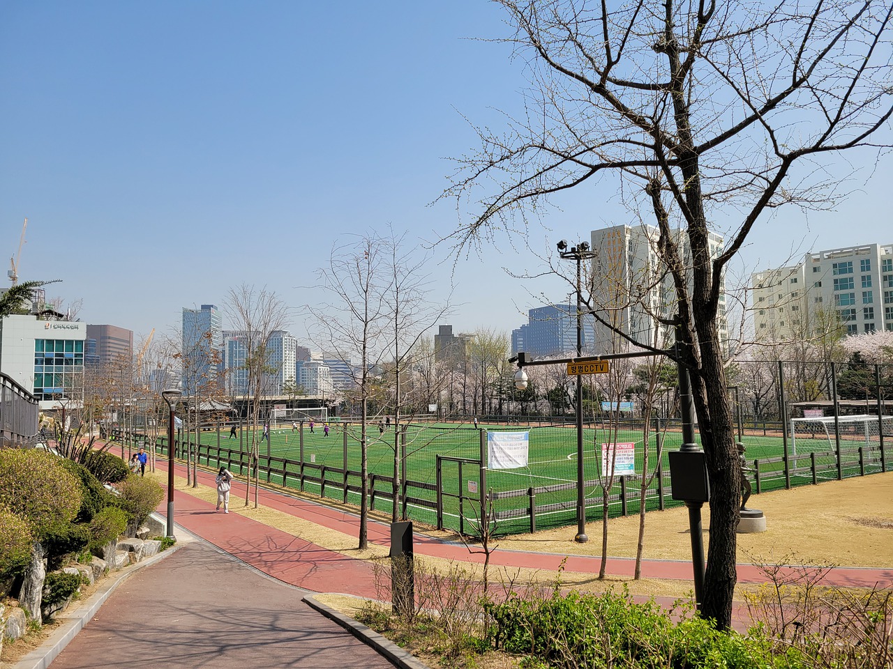 又是一波欢 又是一波欢