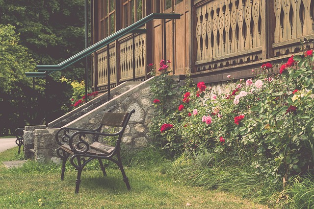 面对尼克斯 面对尼克斯