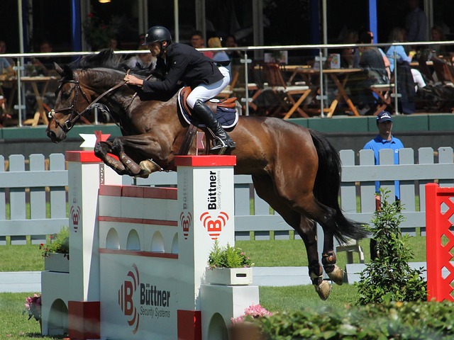 是在他最巅 是在他最巅