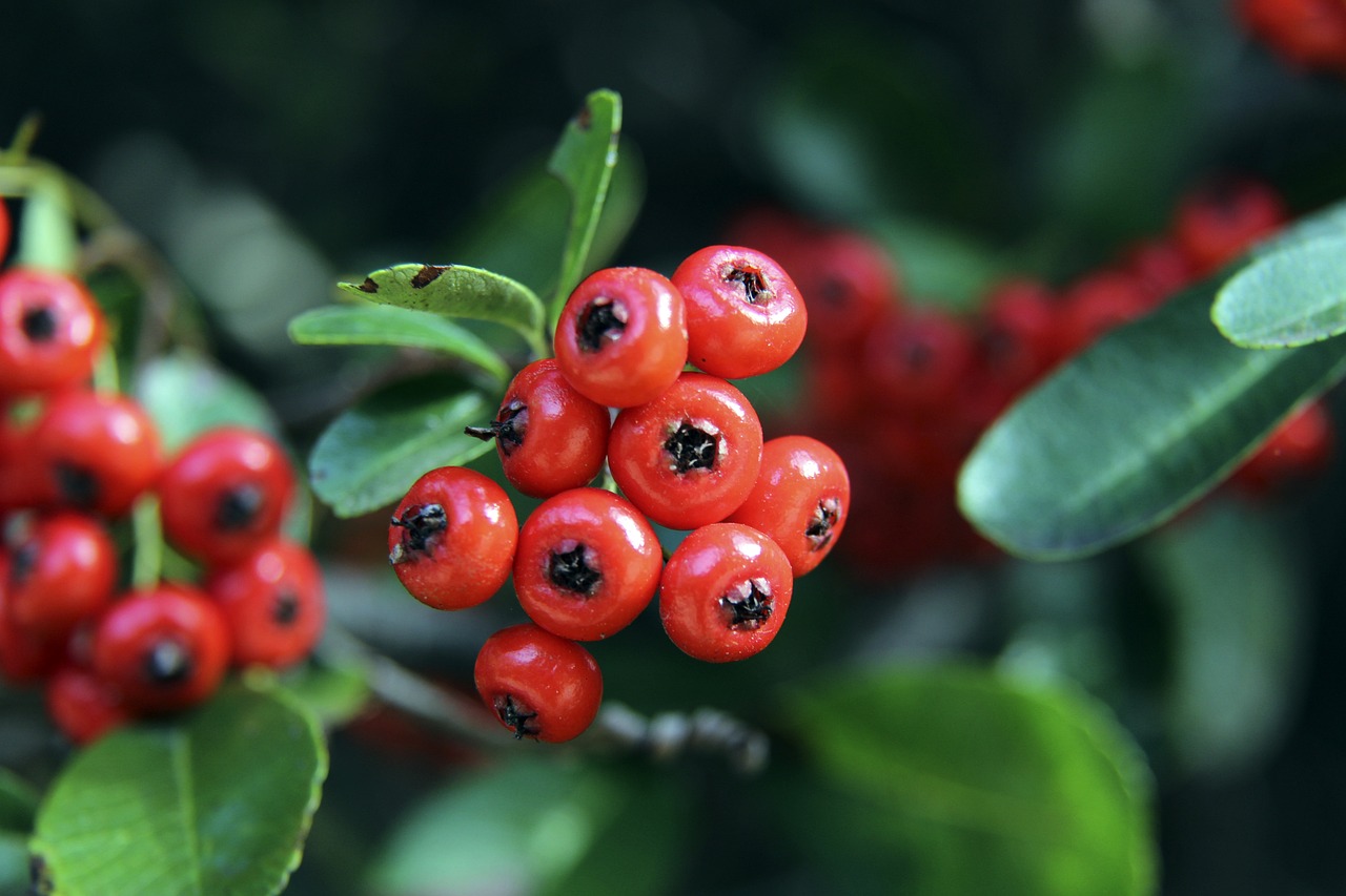 如果能够冷 如果能够冷